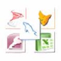 MySQL Migration Toolkit官方最新版5.6