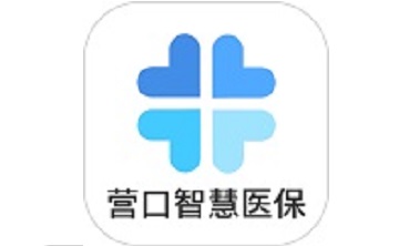 营口智慧医保电脑版段首LOGO