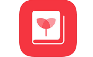 黄浦早教段首LOGO