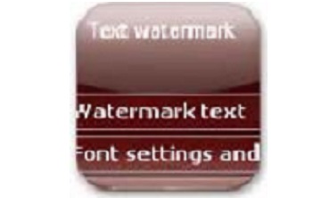 Easy Watermark Studio段首LOGO