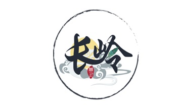 掌上长岭段首LOGO