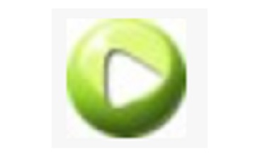 any flv player段首LOGO