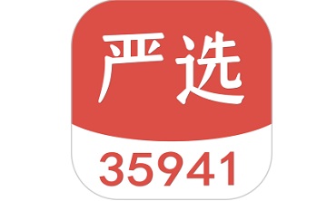 35941严选段首LOGO