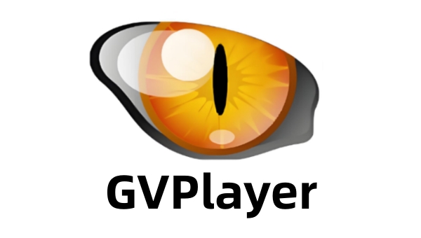 GVPlayer截图