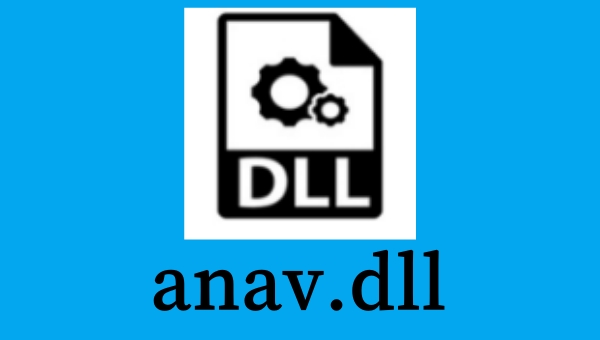 anav.dll截图