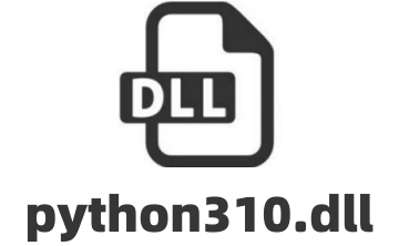 python310.dll段首LOGO