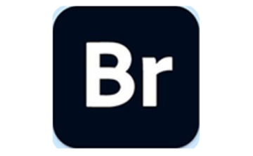 Adobe Bridge 2025段首LOGO