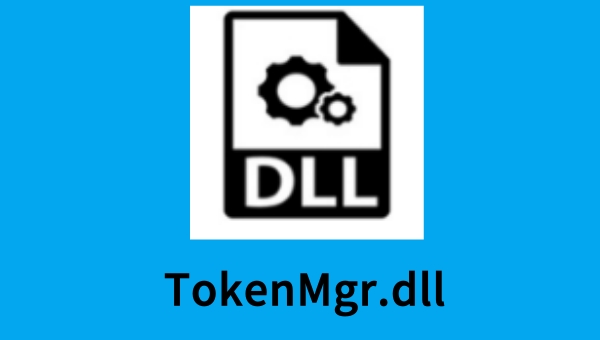 TokenMgr.dll截图
