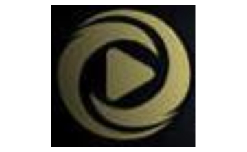 顶新影音段首LOGO