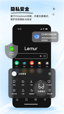 狐猴浏览器电脑版截图