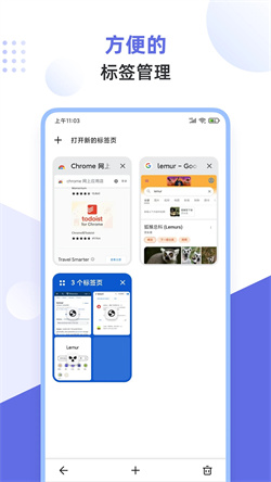 狐猴浏览器电脑版截图
