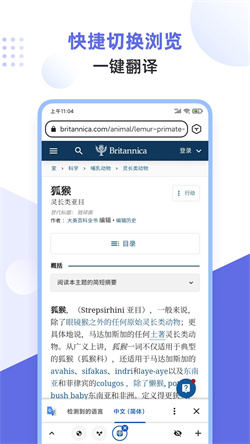 狐猴浏览器电脑版截图