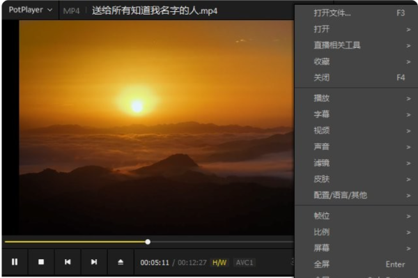 PureCodec(完美解码播放器)截图