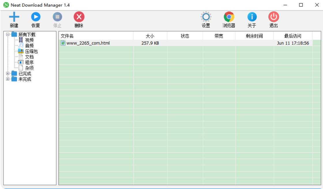 Neat Download Manager截图