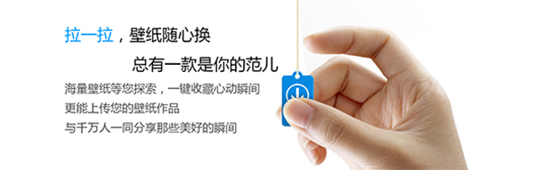 小鸟壁纸截图