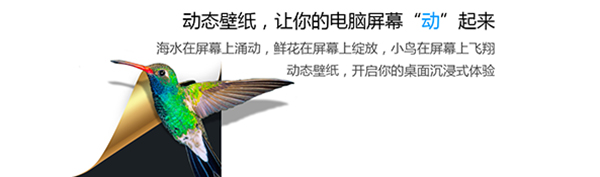 小鸟壁纸截图