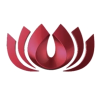 红莲花浏览器官方版5.0.0.6