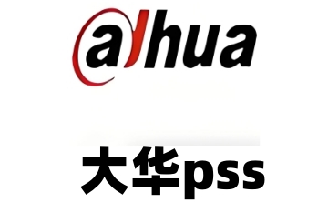 大华pss段首LOGO