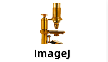 ImageJ截图
