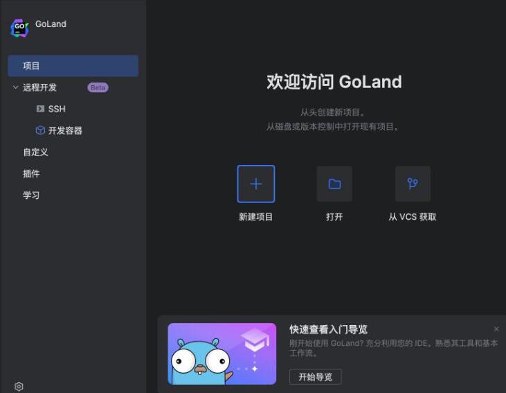 GoLand2025截图