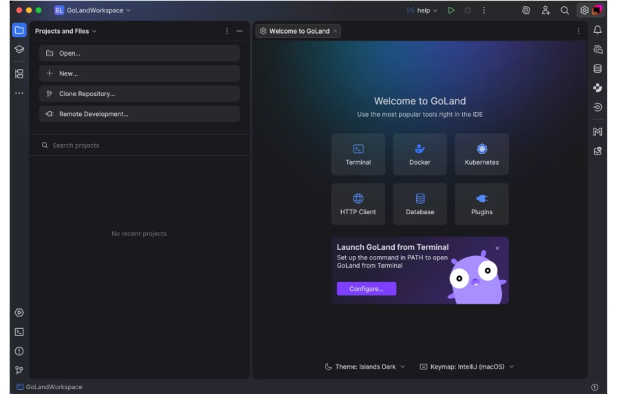 JetBrains GoLand2025截图