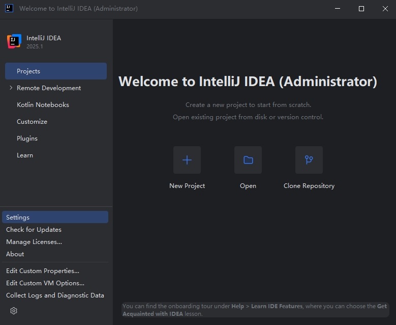 IntelliJ IDEA2025截图