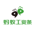 蚂蚁工资条