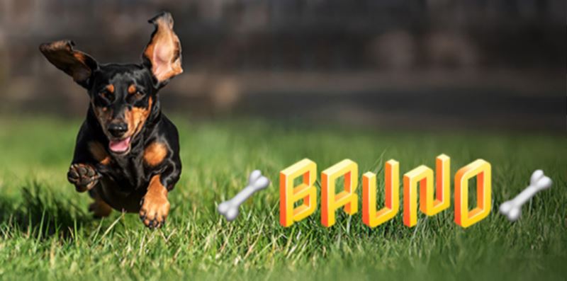 Adobe Premiere Elements2025截图