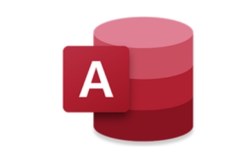 Microsoft Access2025段首LOGO