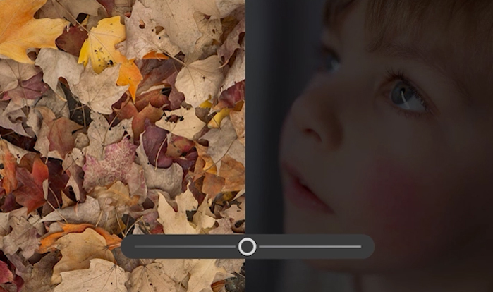 Adobe Lightroom Classic2026截图