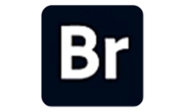 Adobe Bridge2026段首LOGO