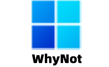 WhyNot段首LOGO