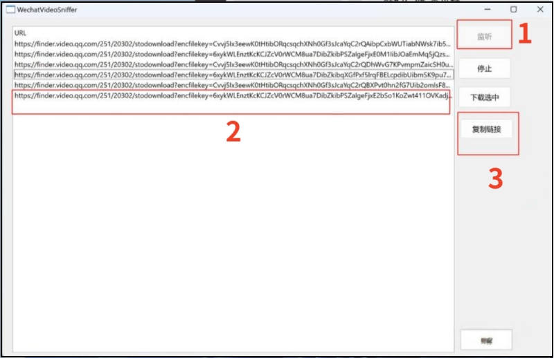 WechatVideoSniffer(微信视频号视频下载器)截图