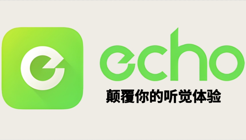 Echo回声截图