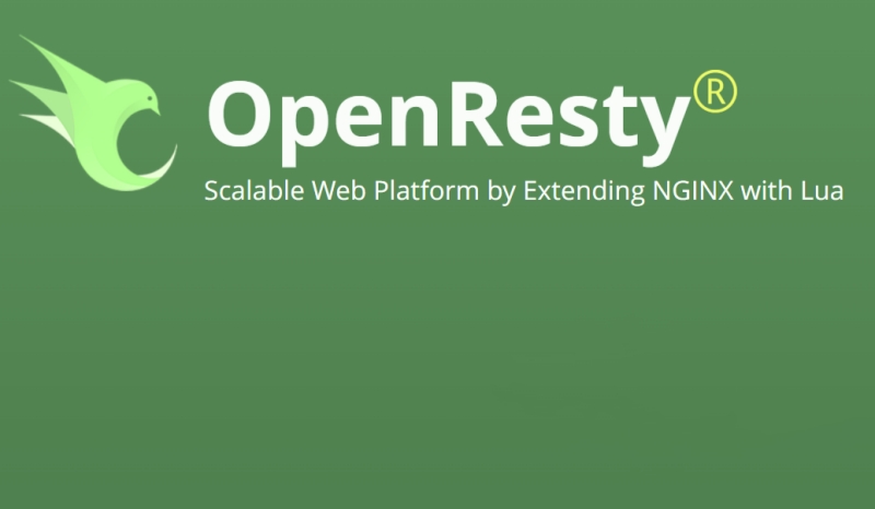 OpenResty截图