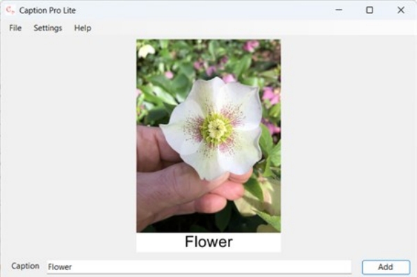 Caption Mac版截图