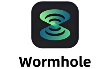 Wormhole段首LOGO
