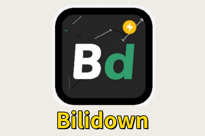 Bilidown截图