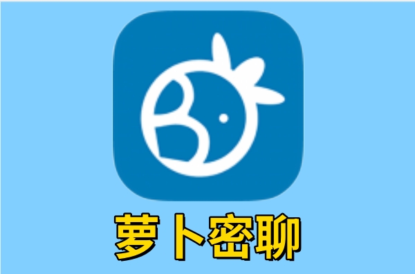 萝卜密聊截图