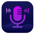 变声器