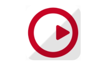 Steinberg段首LOGO