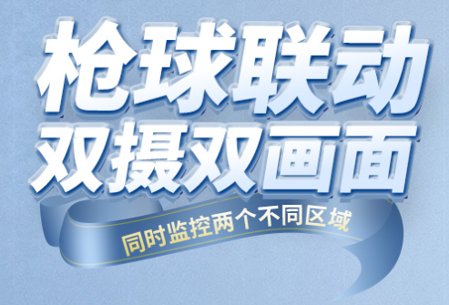 千鸟物联电脑版截图