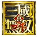 真·三国无双 天下