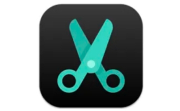 AutoCutVideo段首LOGO