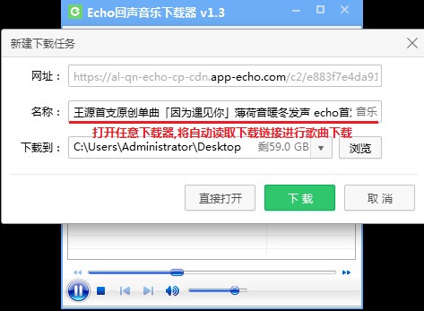 Echo回声截图