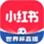 小红书电脑版