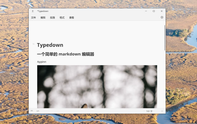 Typedown截图