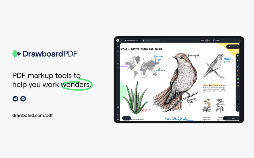 Drawboard PDF截图