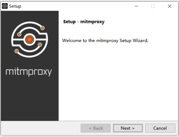 mitmproxy截图