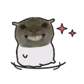 飞鼠格式